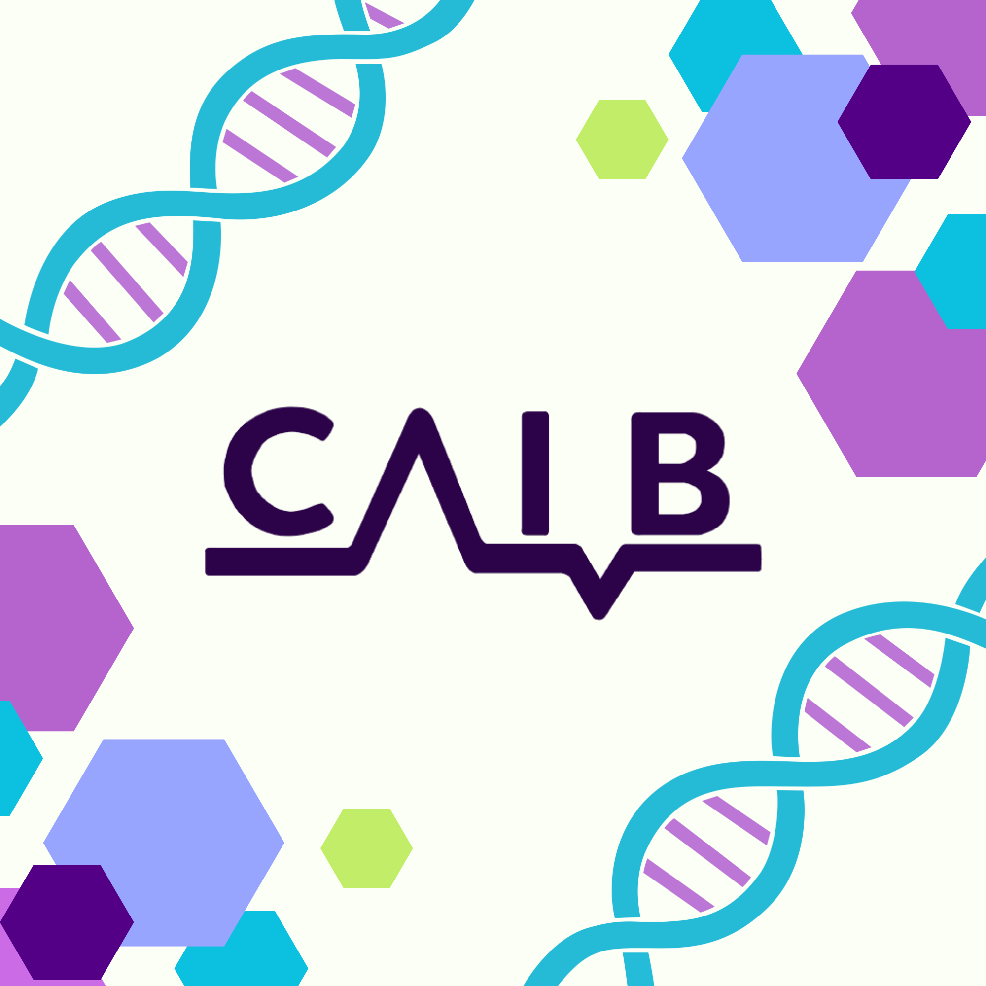 Logo CAIB